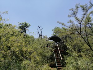 Deck at Gecko cottage